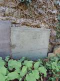 image of grave number 764968